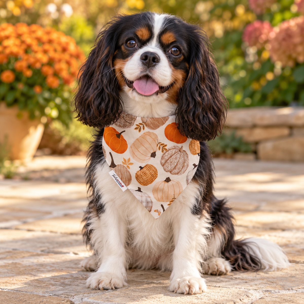 Cozy Harvest – Reversible Dog Bandana