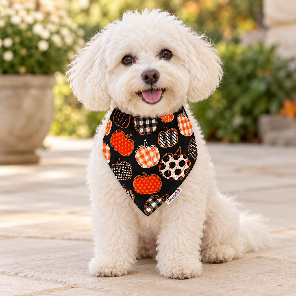 Pumpkin Party – Reversible Dog Bandana