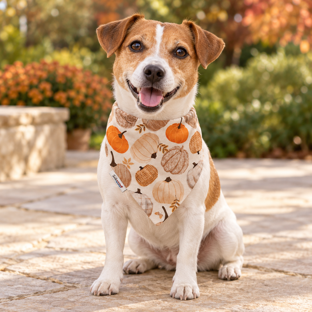 Cozy Harvest – Reversible Dog Bandana