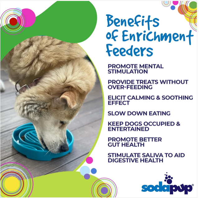 Baja Design eTray - Shallow Slow Feeder Dog Bowl for Enrichment | USA Made