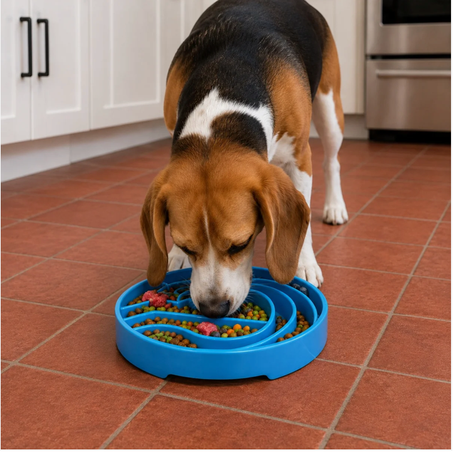 Baja Design eTray - Shallow Slow Feeder Dog Bowl for Enrichment | USA Made
