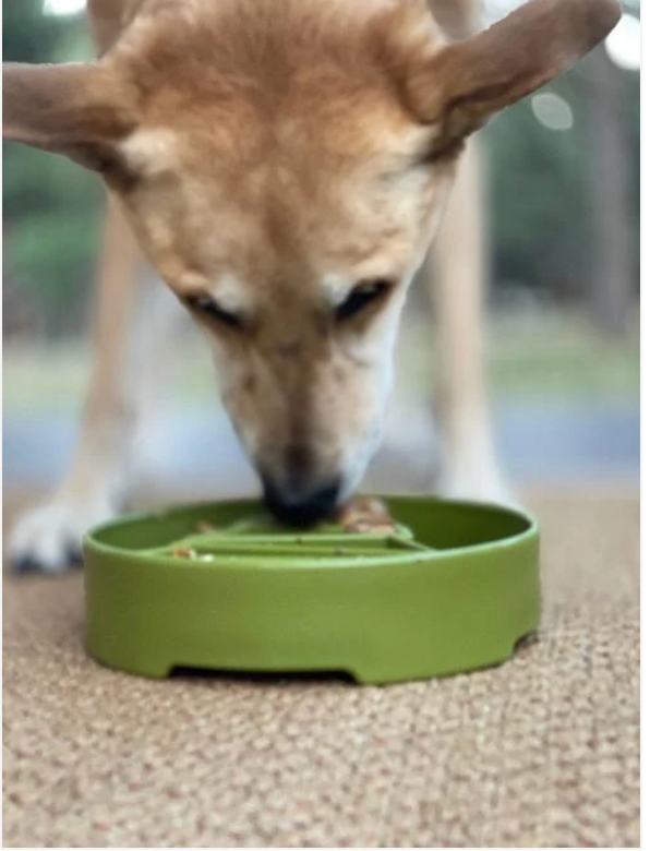 Pine Tree Christmas eBowl Deep Slow Feeder Dog Bowl for Enrichment | USA Made
