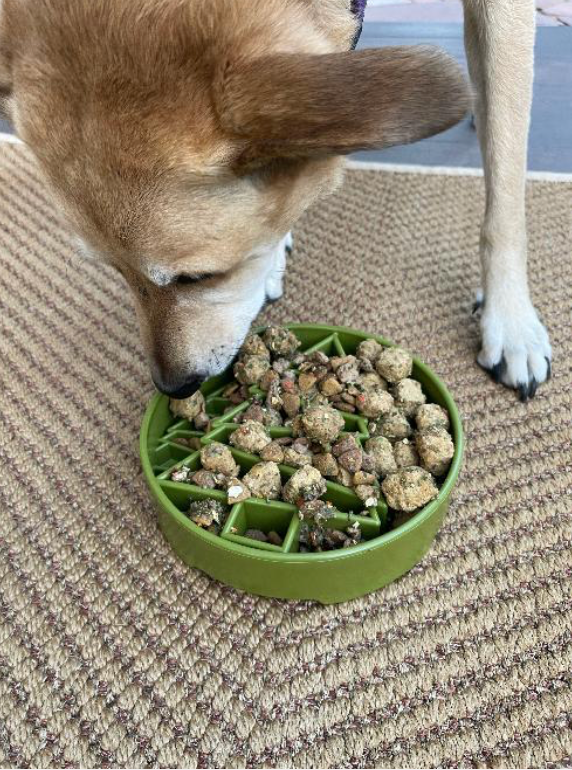 Pine Tree Christmas eBowl Deep Slow Feeder Dog Bowl for Enrichment | USA Made