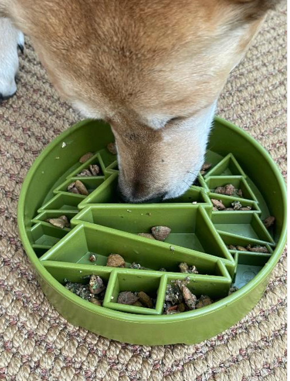 Pine Tree Christmas eBowl Deep Slow Feeder Dog Bowl for Enrichment | USA Made
