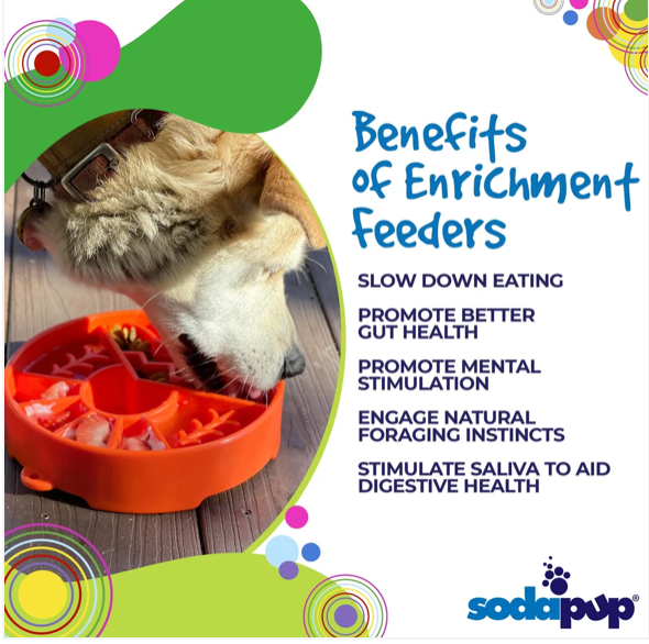 Great Outdoors eBowl - Slow Feeder Dog Bowl & Enrichment | USA Made