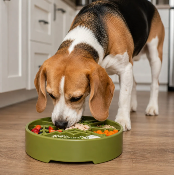 Great Outdoors eBowl - Slow Feeder Dog Bowl & Enrichment | USA Made