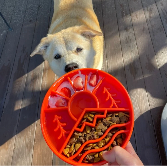 Great Outdoors eBowl - Slow Feeder Dog Bowl & Enrichment | USA Made
