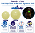 Squeak Ball - Glow in the Dark - Durable Squeaky Dog Toy, Floats, Chew Toy | USA Made
