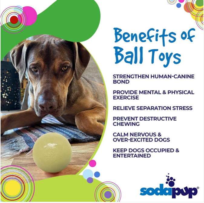 Squeak Ball - Glow in the Dark - Durable Squeaky Dog Toy, Floats, Chew Toy | USA Made