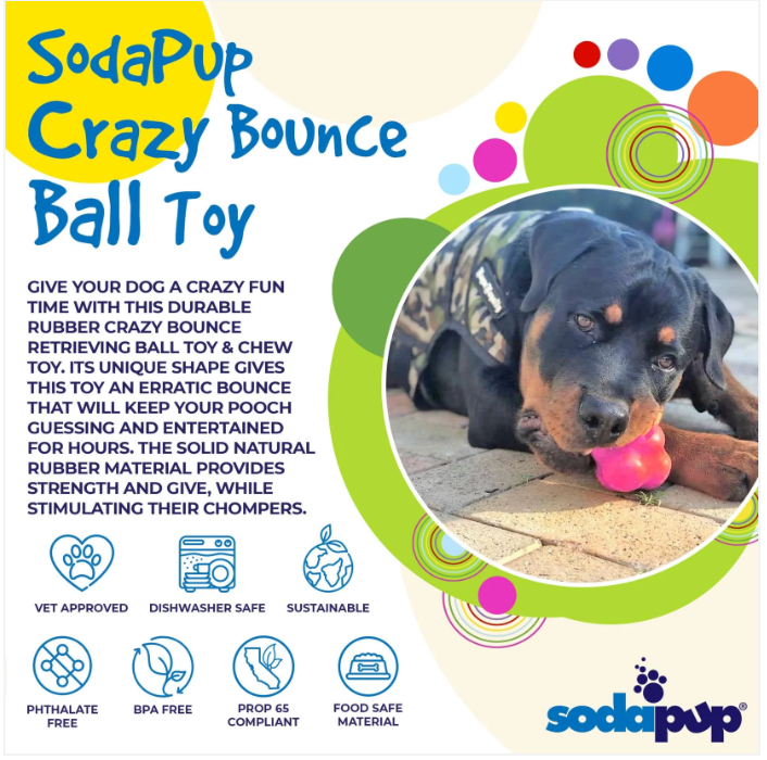 Crazy Bounce Rubber Dog Chew Toy for Power Chewers | Retrieving Ball | USA Made