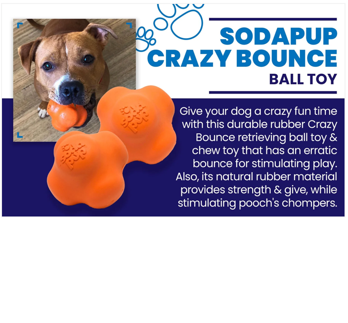 Crazy Bounce Rubber Dog Chew Toy for Power Chewers | Retrieving Ball | USA Made