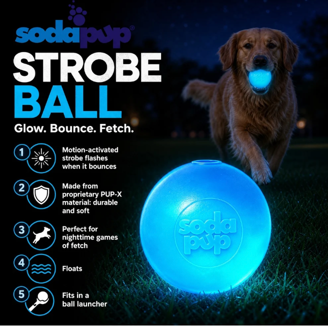 Strobe Ball Light-Up Dog Toy - Durable Floating Chew Ball | Made in USA