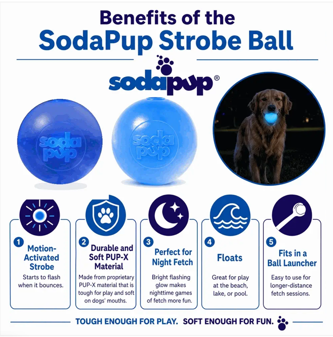 Strobe Ball Light-Up Dog Toy - Durable Floating Chew Ball | Made in USA