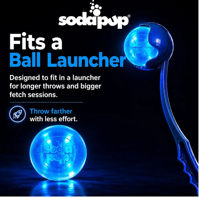 Strobe Ball Light-Up Dog Toy - Durable Floating Chew Ball | Made in USA
