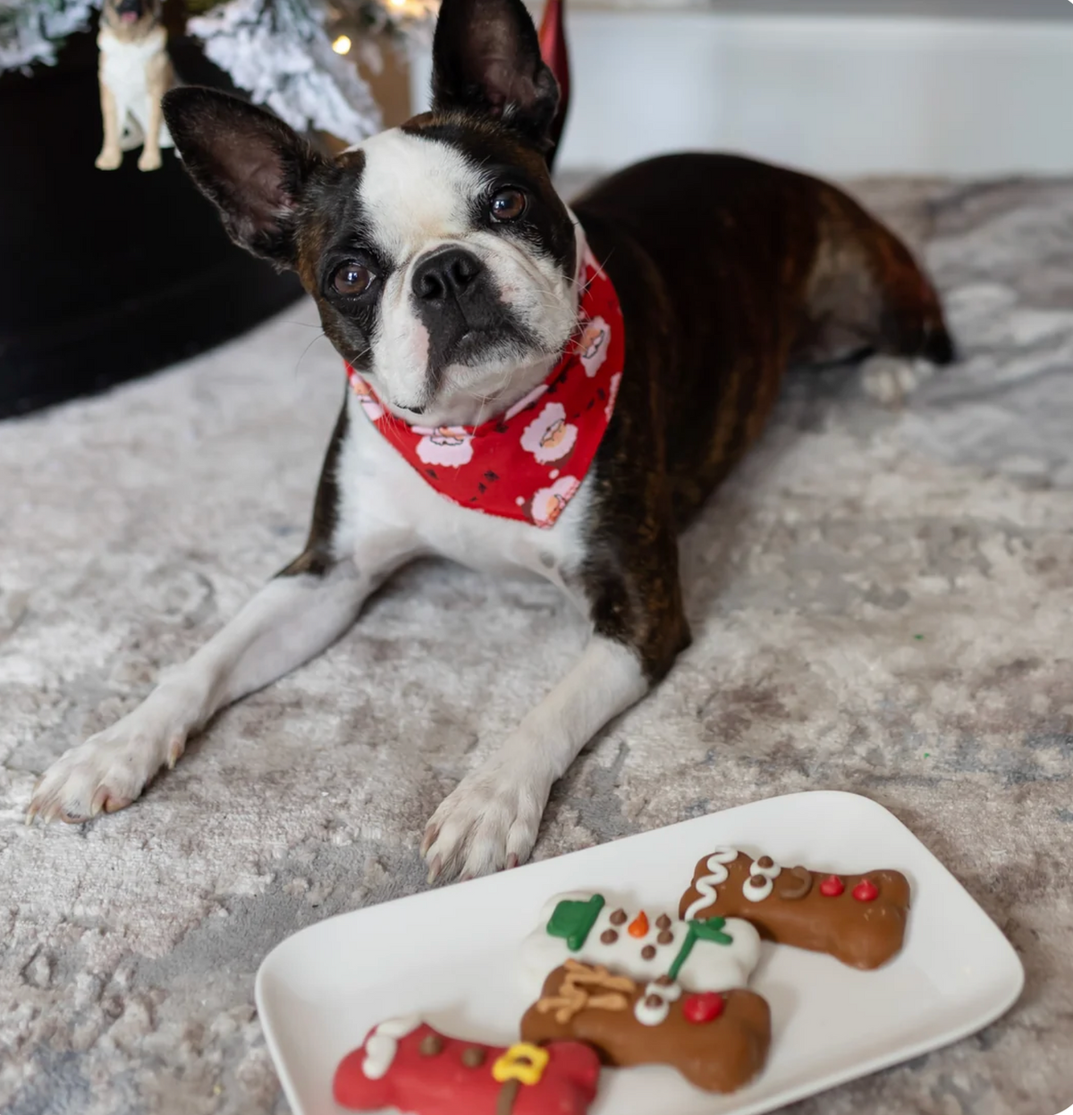 The Ho Ho Herd | Christmas Pre-Packaged