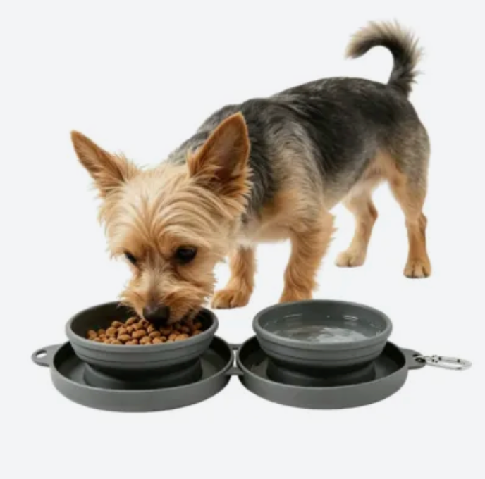 Collapsible Pet Travel Bowl Portable Dual Feeder