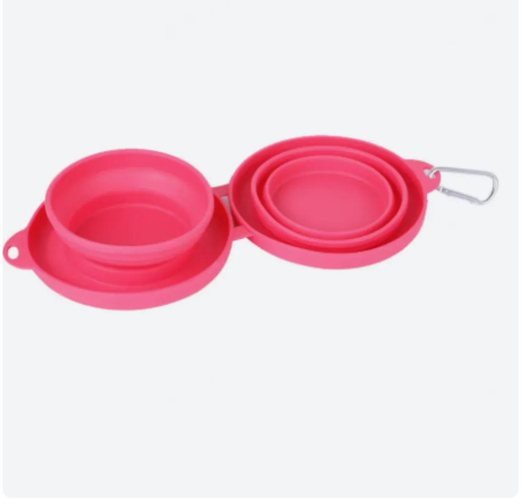 Collapsible Pet Travel Bowl Portable Dual Feeder