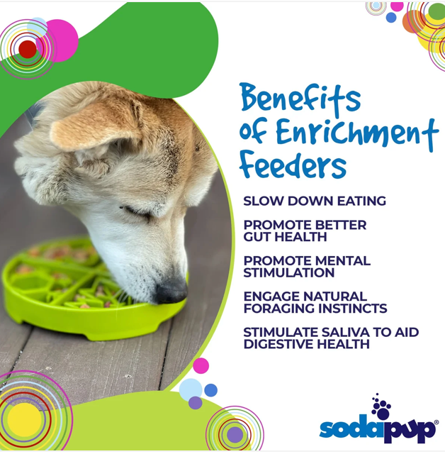 Four Seasons eTray - Shallow Slow Feeder Dog Bowl for Enrichment | USA Made