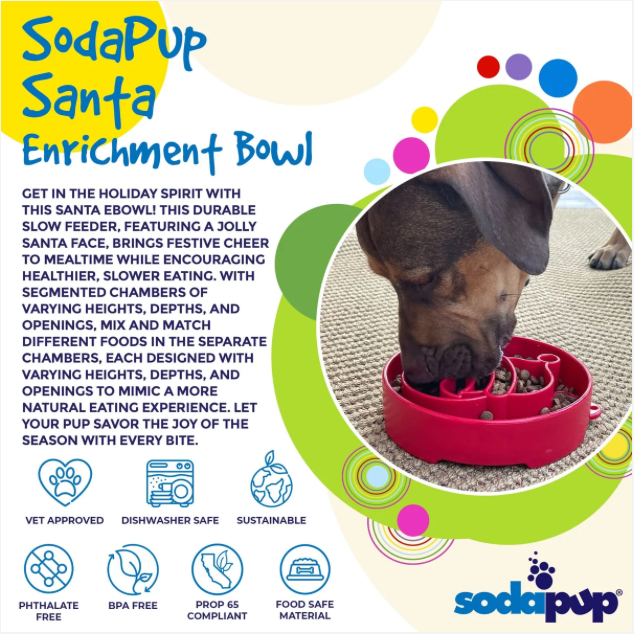 Santa Christmas eBowl Deep Slow Feeder Dog Bowl for Enrichment | USA Made