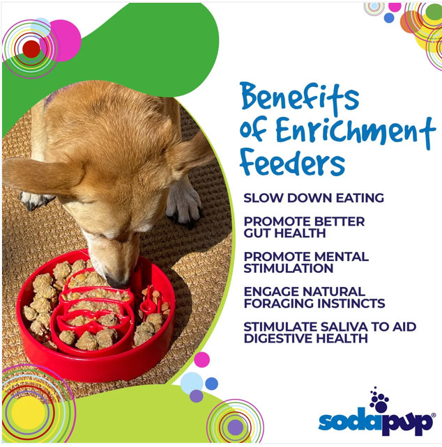 Santa Christmas eBowl Deep Slow Feeder Dog Bowl for Enrichment | USA Made