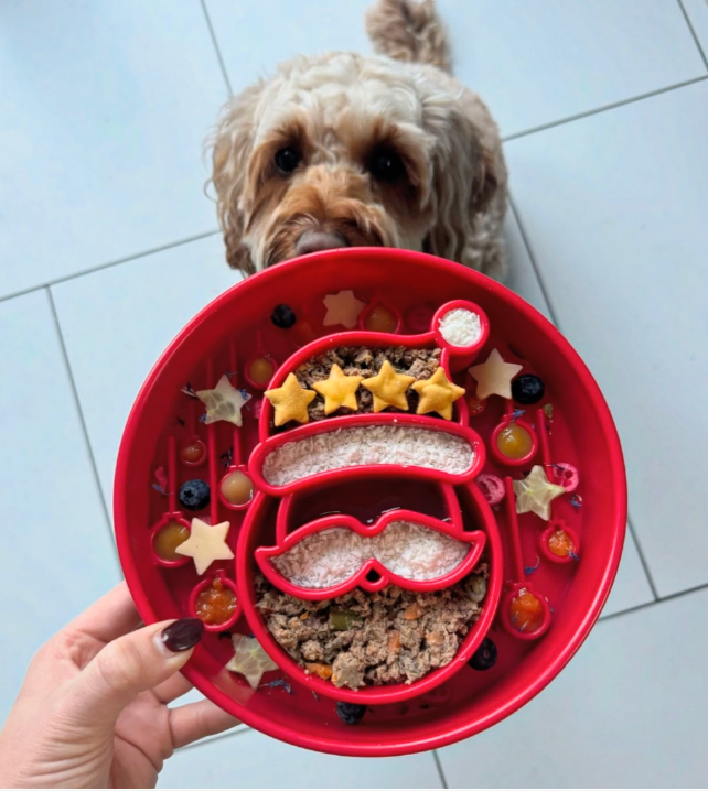 Santa Christmas eBowl Deep Slow Feeder Dog Bowl for Enrichment | USA Made